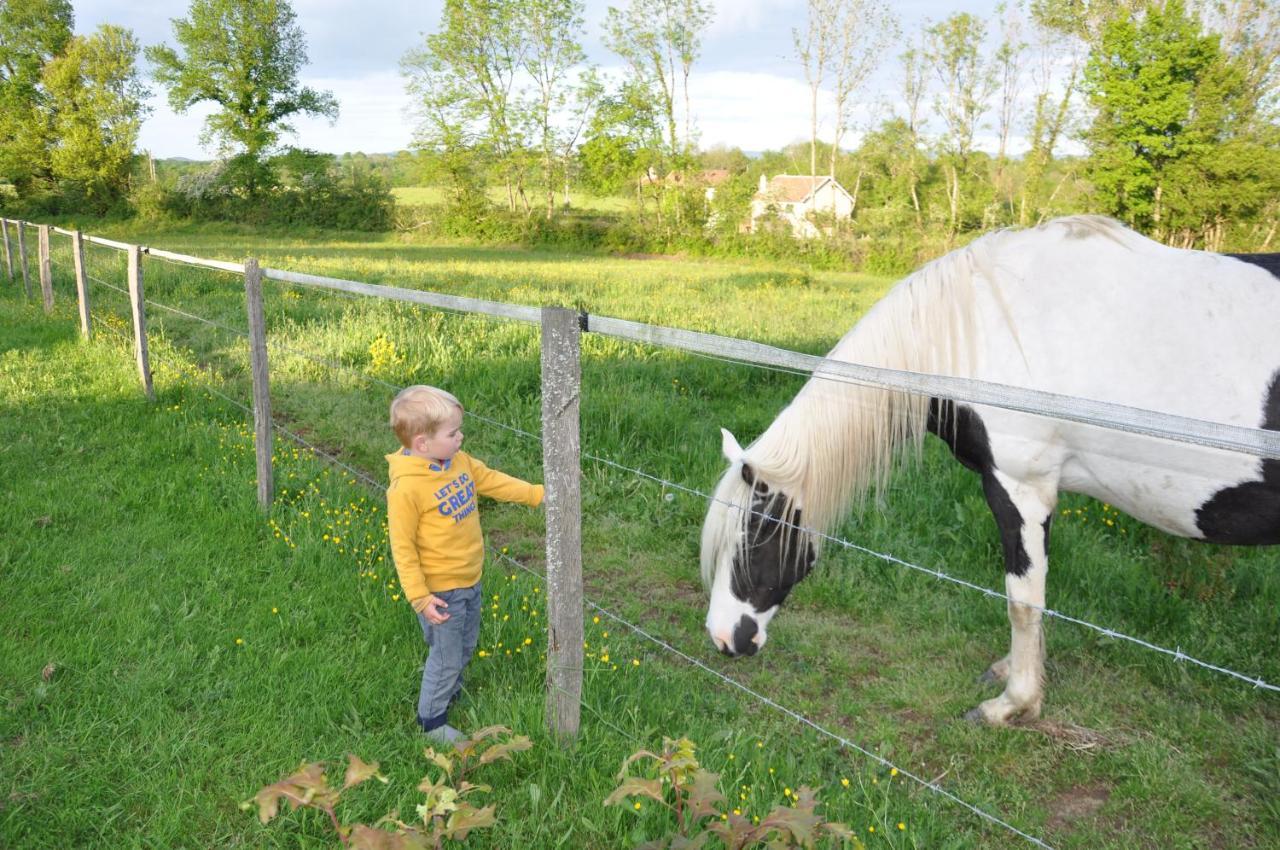 Canal Du Nivernais Gites Le Champ Radis Marigny-sur-Yonne Eksteriør bilde